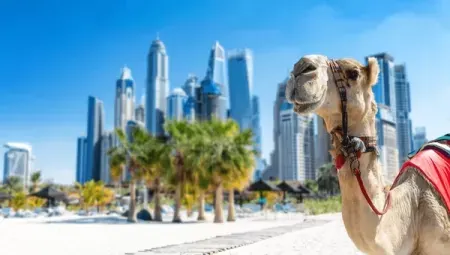 Dubai on a Budget